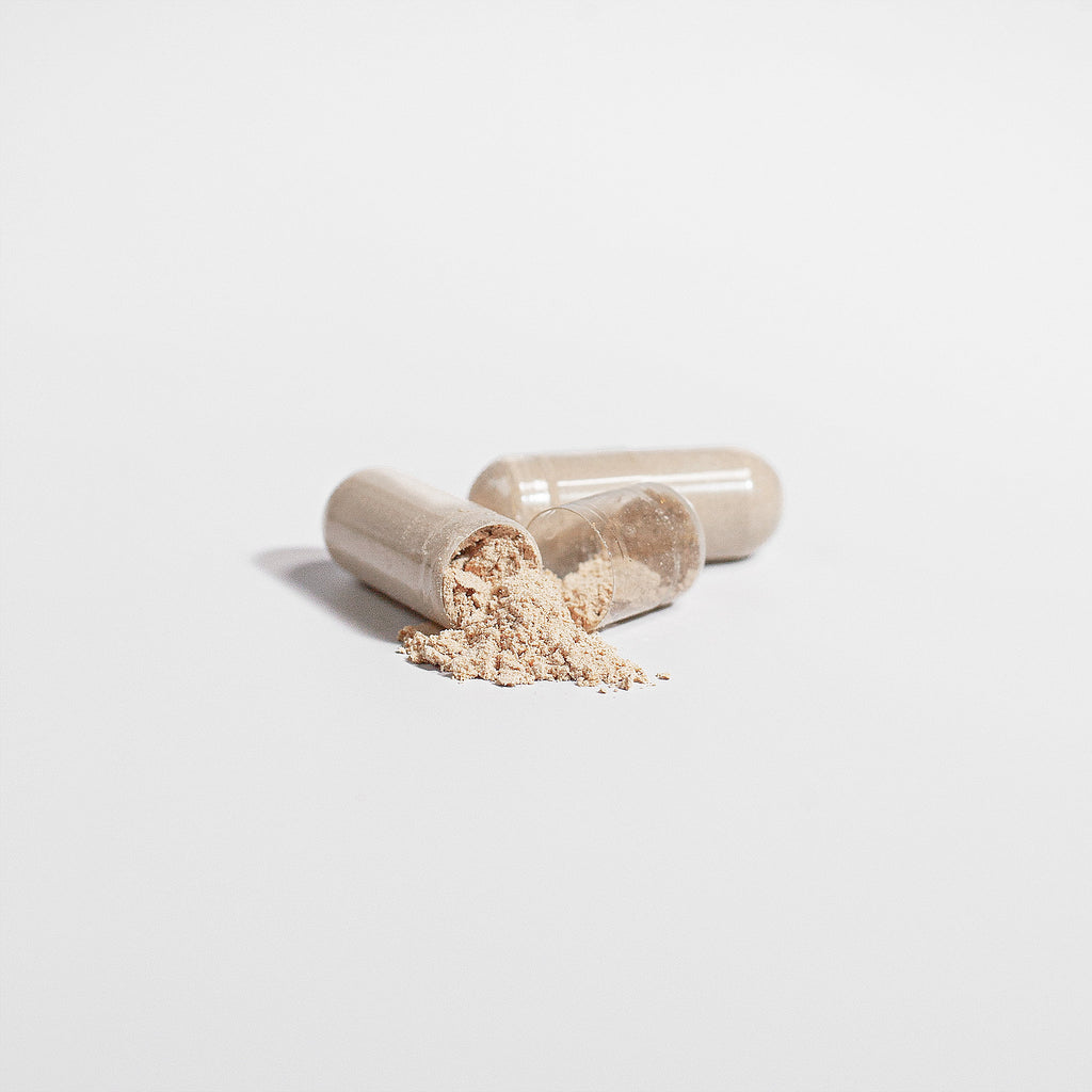 MindMax - Lion's Mane Mushroom Formula